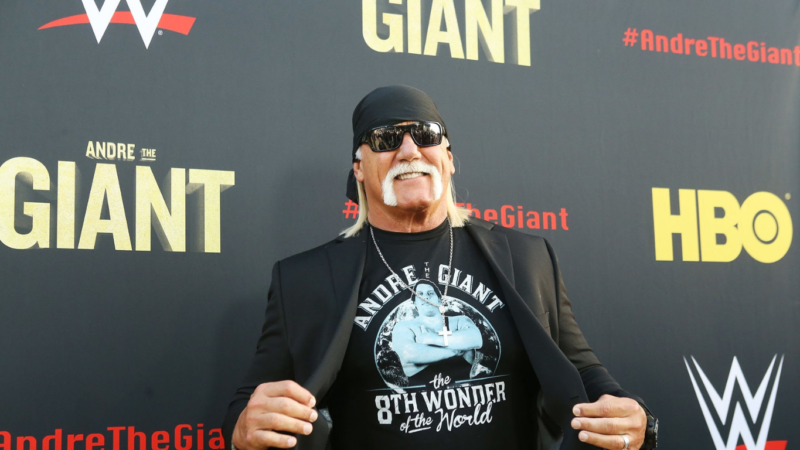 Hulk Hogan Age