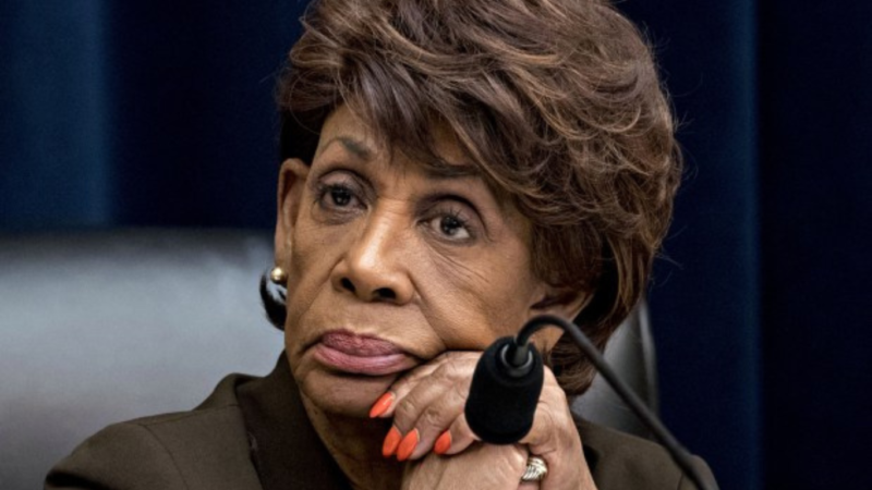 Maxine Waters Net Worth