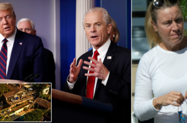 Peter Navarro Ex-Wife