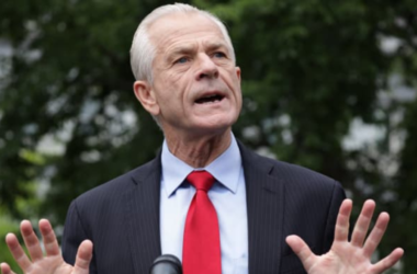 Peter Navarro Net Worth