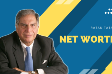 Ratan Tata Net Worth in Rupees