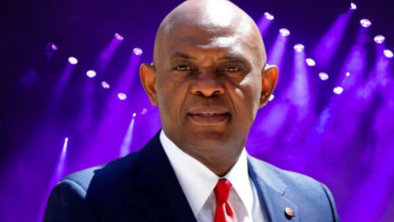 Tony Elumelu Net Worth